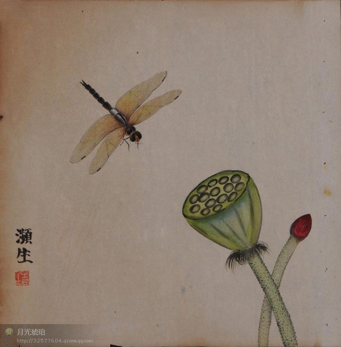 齐白石精美的"工笔草虫册页"欣赏
