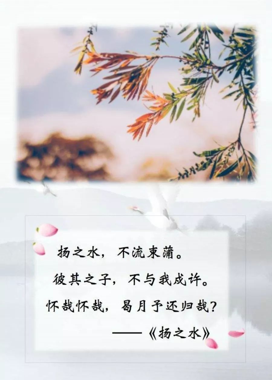 诗经《国风·王风·扬之水》赏析