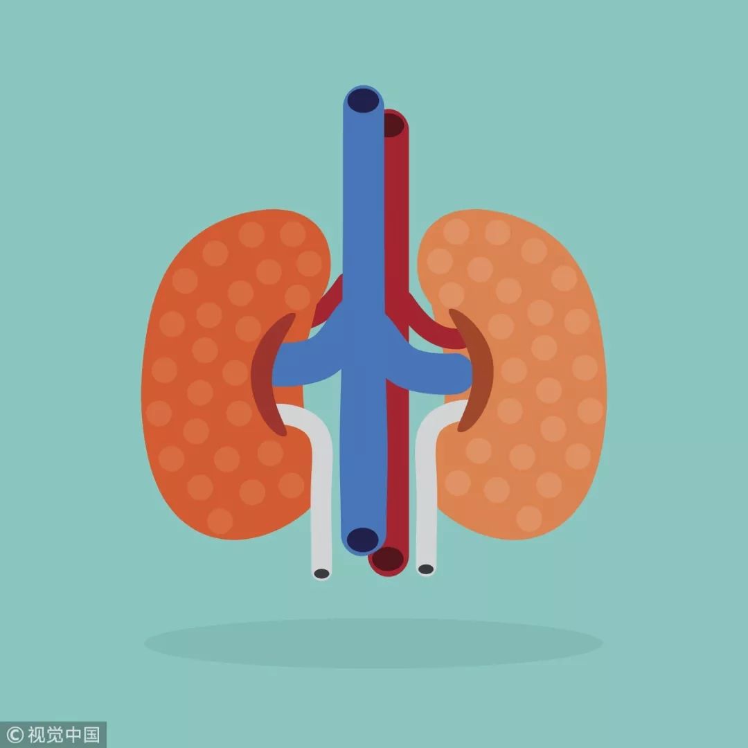 心肝脾肺肾最怕什么?已经帮你找齐了,还不来看看