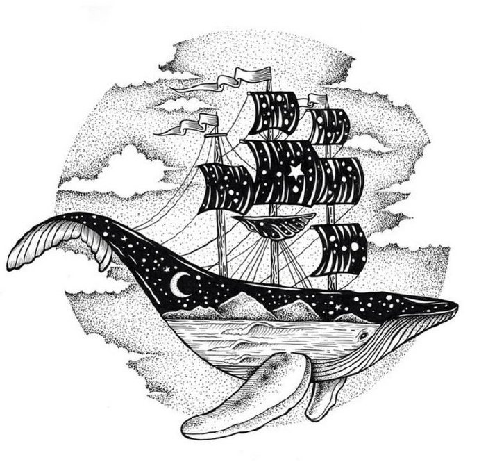鲸鱼手绘