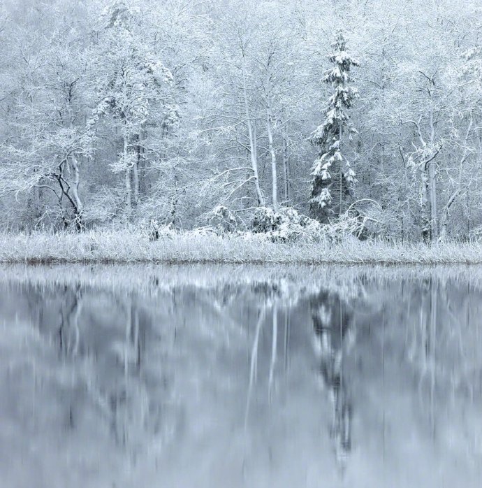 欲渡黄河冰塞川,将登太行雪满山。