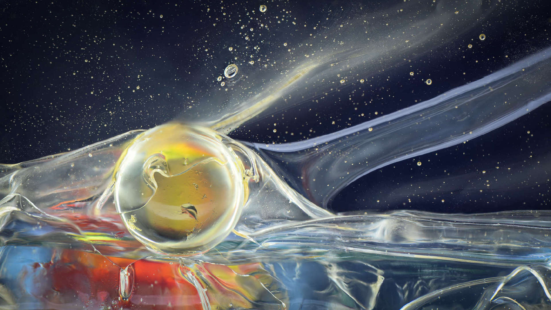 液体生物形态结构多伦多摄影师兼生物化学家 elzbieta