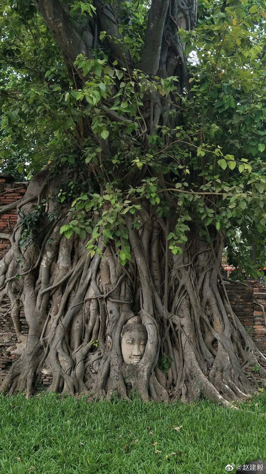 曼谷之旅:了解泰国王朝历史