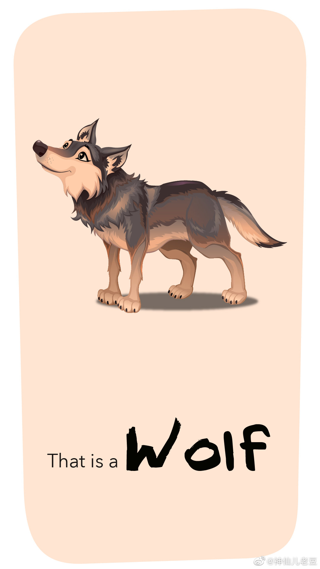 624,今日份手机版英语卡片，保存点赞！ 更新了5天，45个单词卡片_新浪新闻