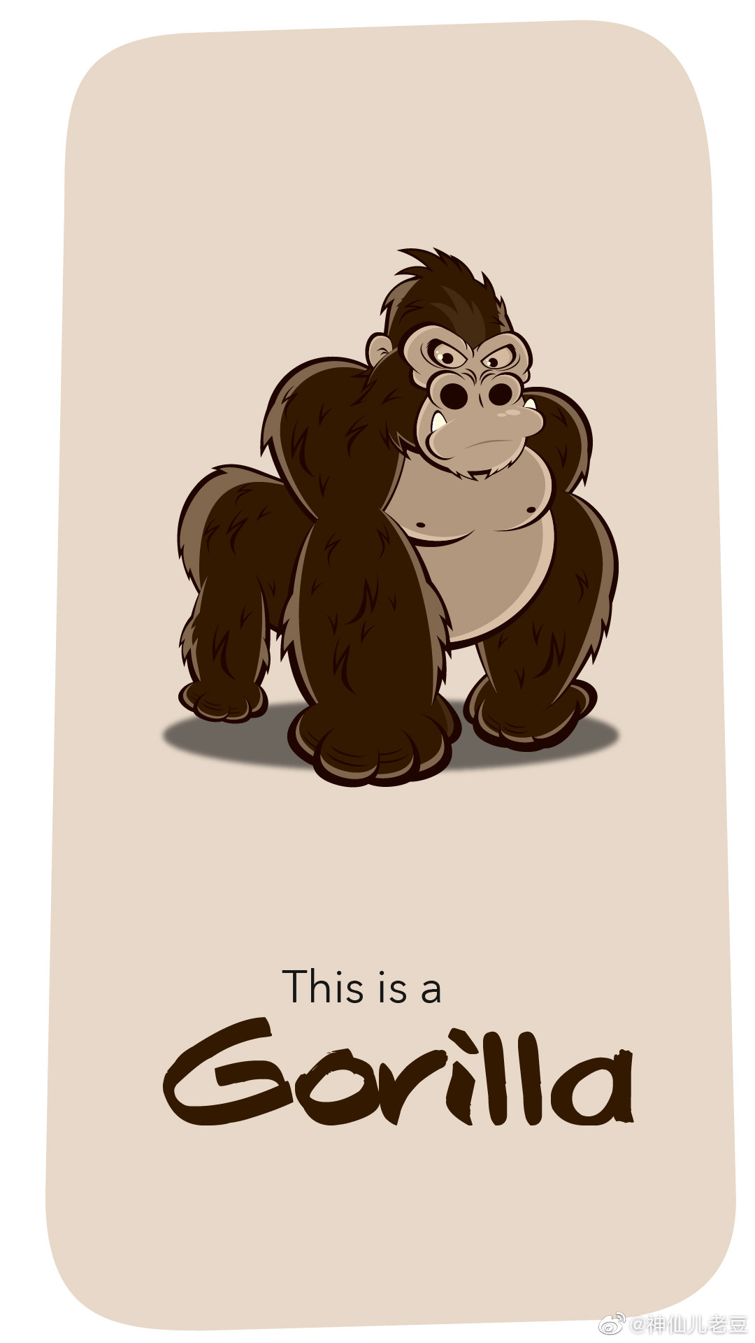 624,今日份手机版英语卡片，保存点赞！ 更新了5天，45个单词卡片|卡片|手机版|单词_新浪新闻