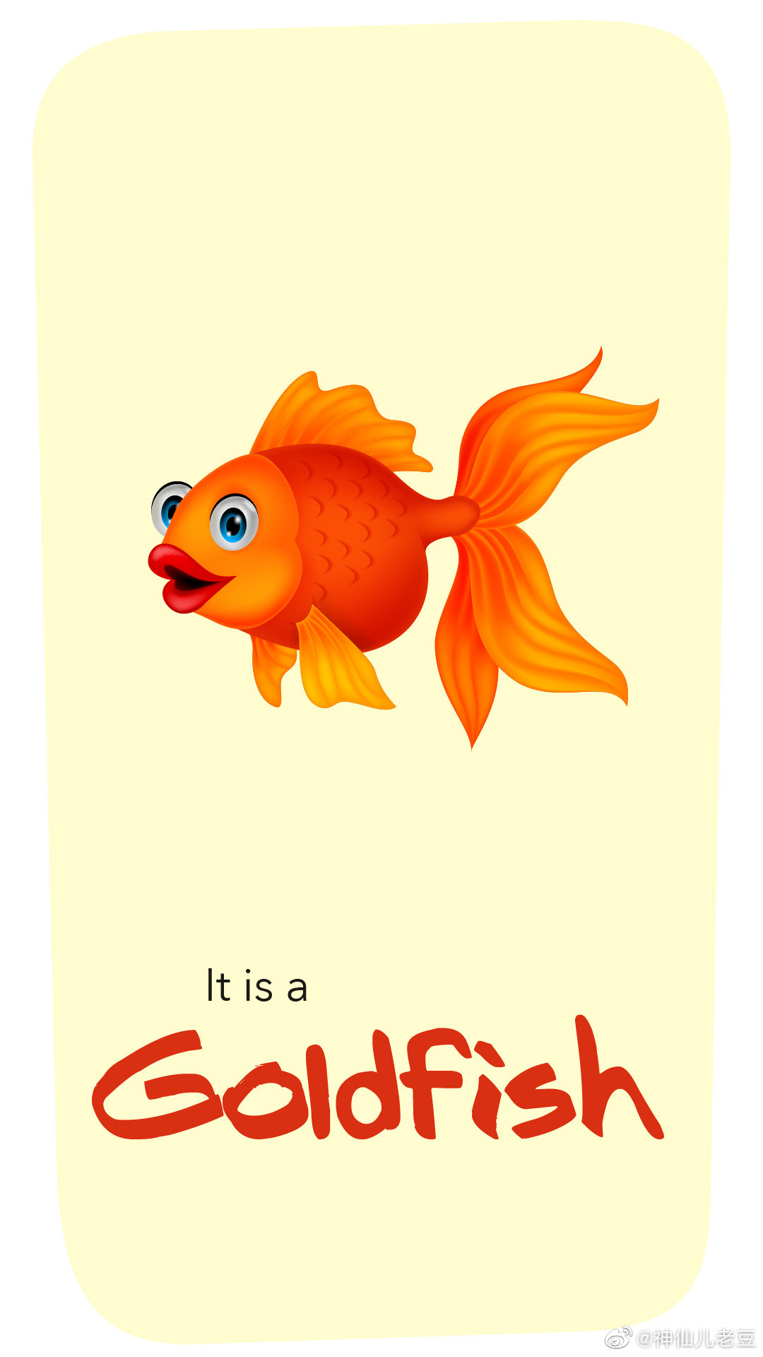 624,今日份手机版英语卡片，保存点赞！ 更新了5天，45个单词卡片_新浪新闻