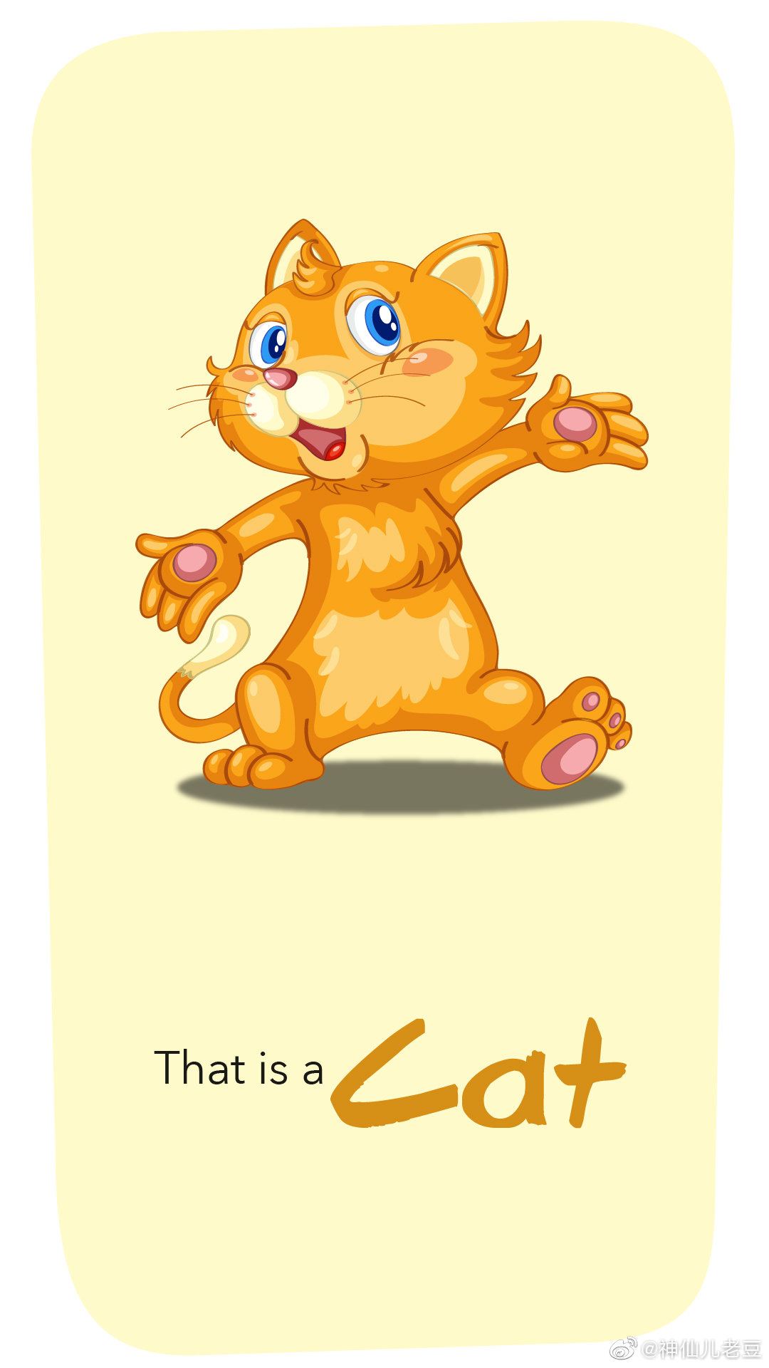 624,今日份手机版英语卡片，保存点赞！ 更新了5天，45个单词卡片_新浪新闻