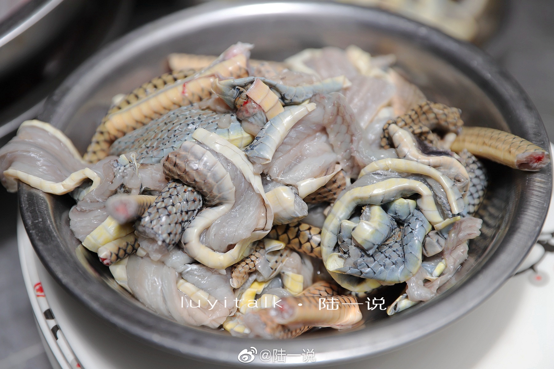 “榕记”原专注蛇宴的餐厅，由于非常时期改为普通粤菜