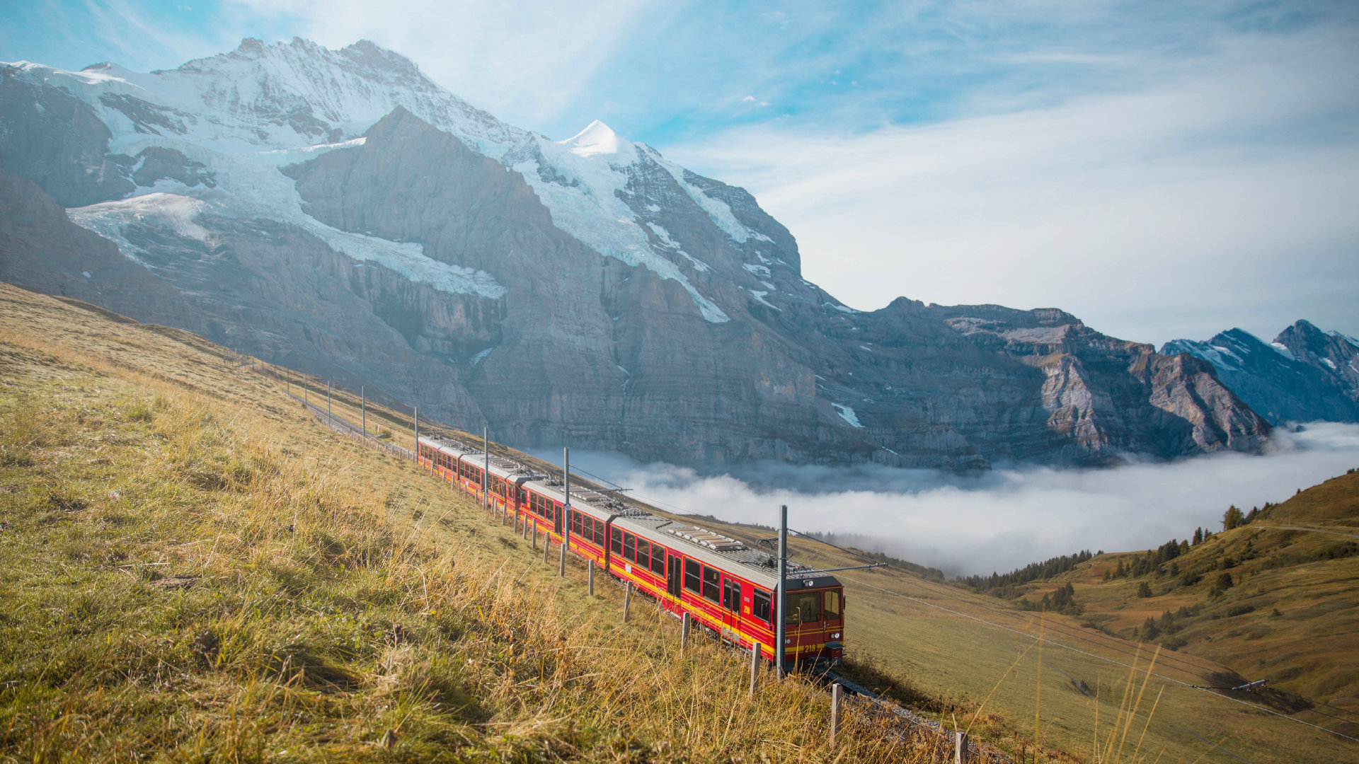 2019继续去看世界吧