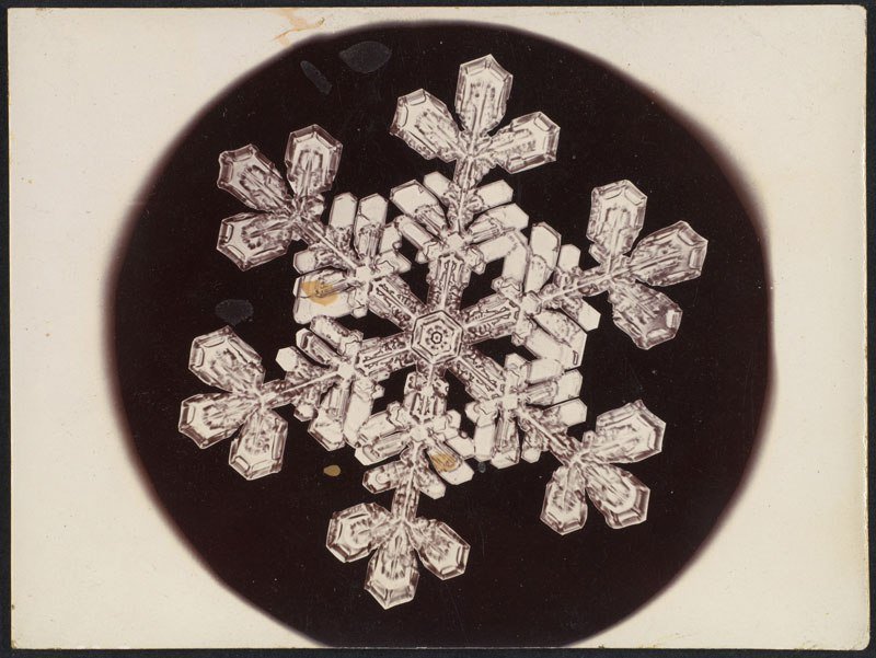 你知道世界上第一张雪花结晶照片是谁拍的吗