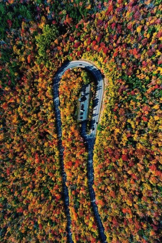 最美的40张照片,惊艳了世界!