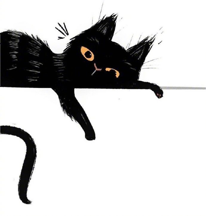 超萌的炸毛黑猫咪~可可爱爱