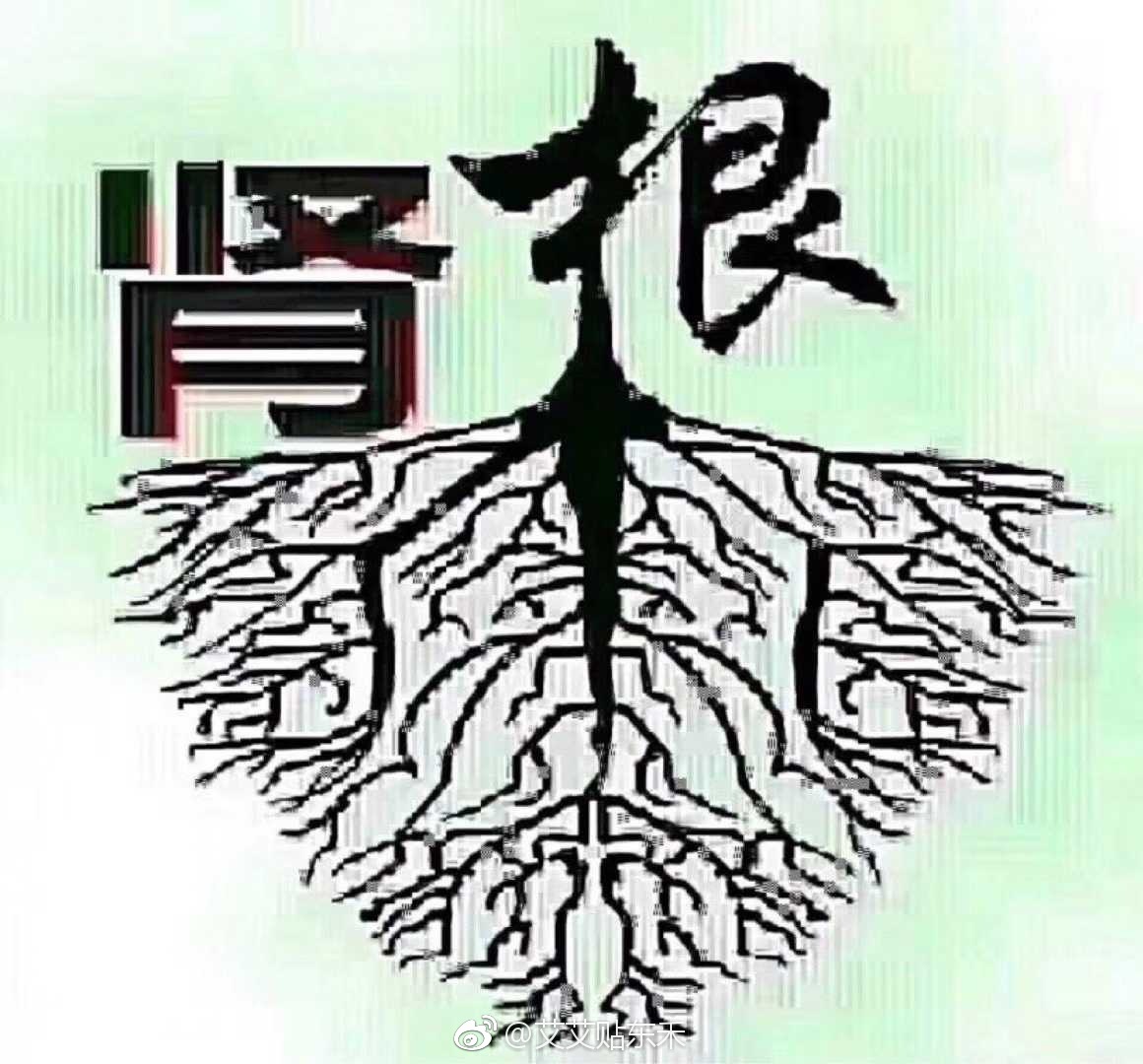 中老年补钙的中医原理是什么