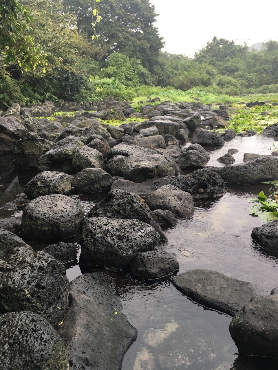 琼海定安县冷泉 国内流量最大的冷泉