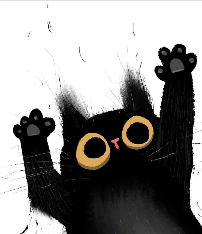 超萌的炸毛黑猫咪~可可爱爱