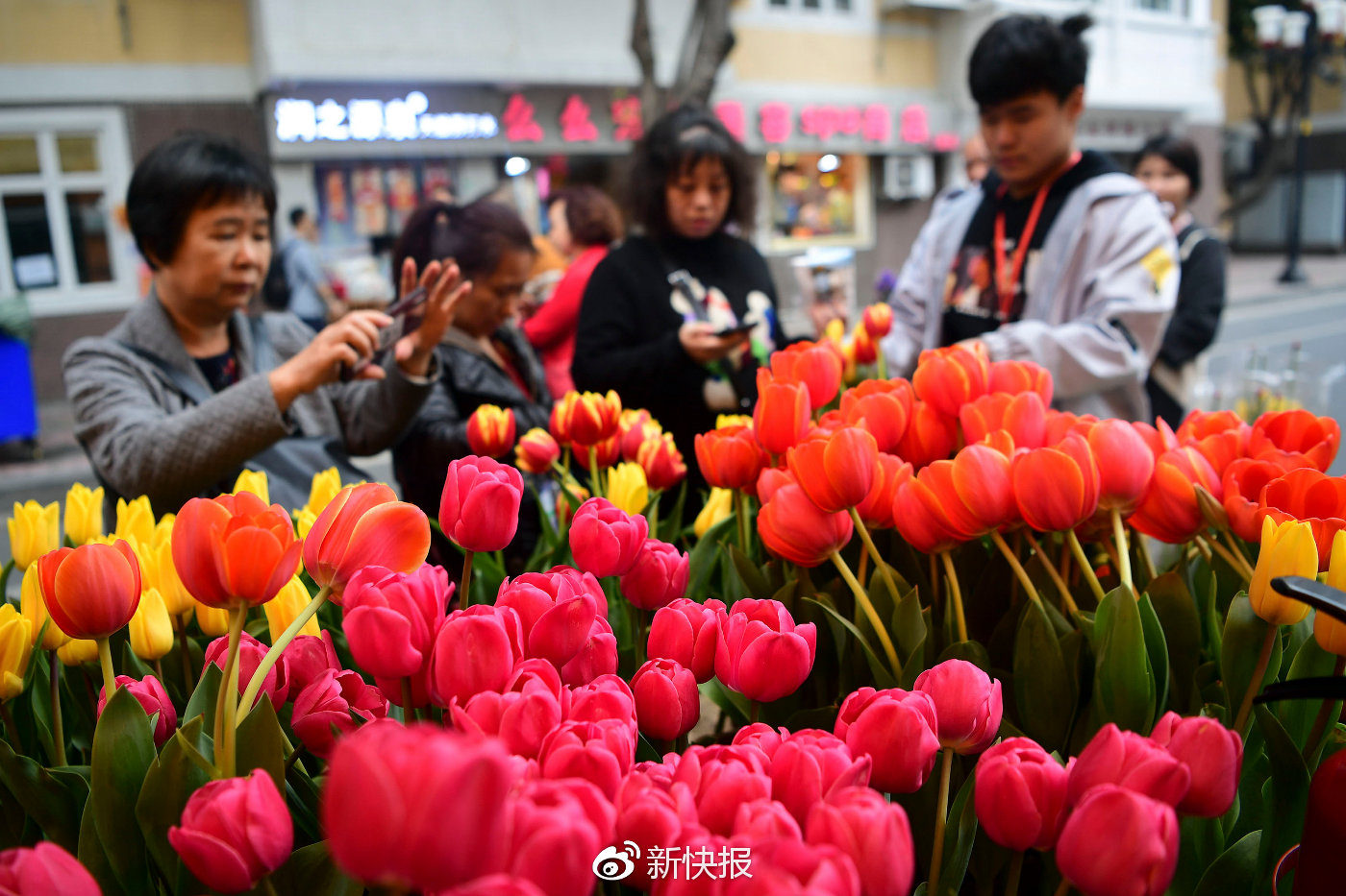 花市主牌楼,一个巨大的"聚宝盆"造型,携家带口的市民们迫不及待逛花街