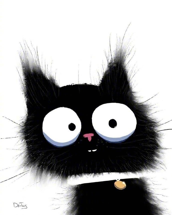 超萌的炸毛黑猫咪~可可爱爱