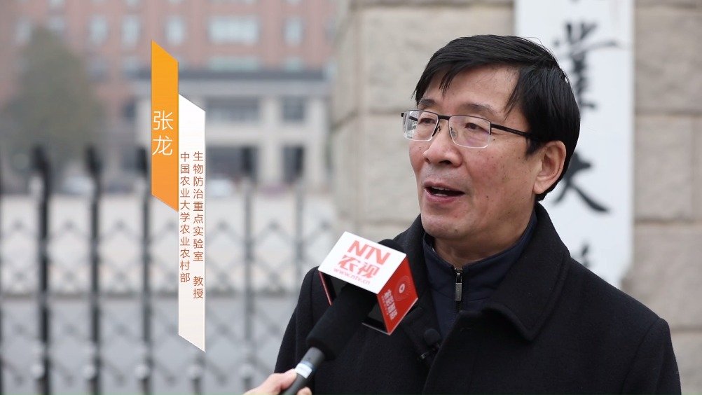 中国农业大学农业农村部生物防治重点实验室张龙教授接受@农视网 的采