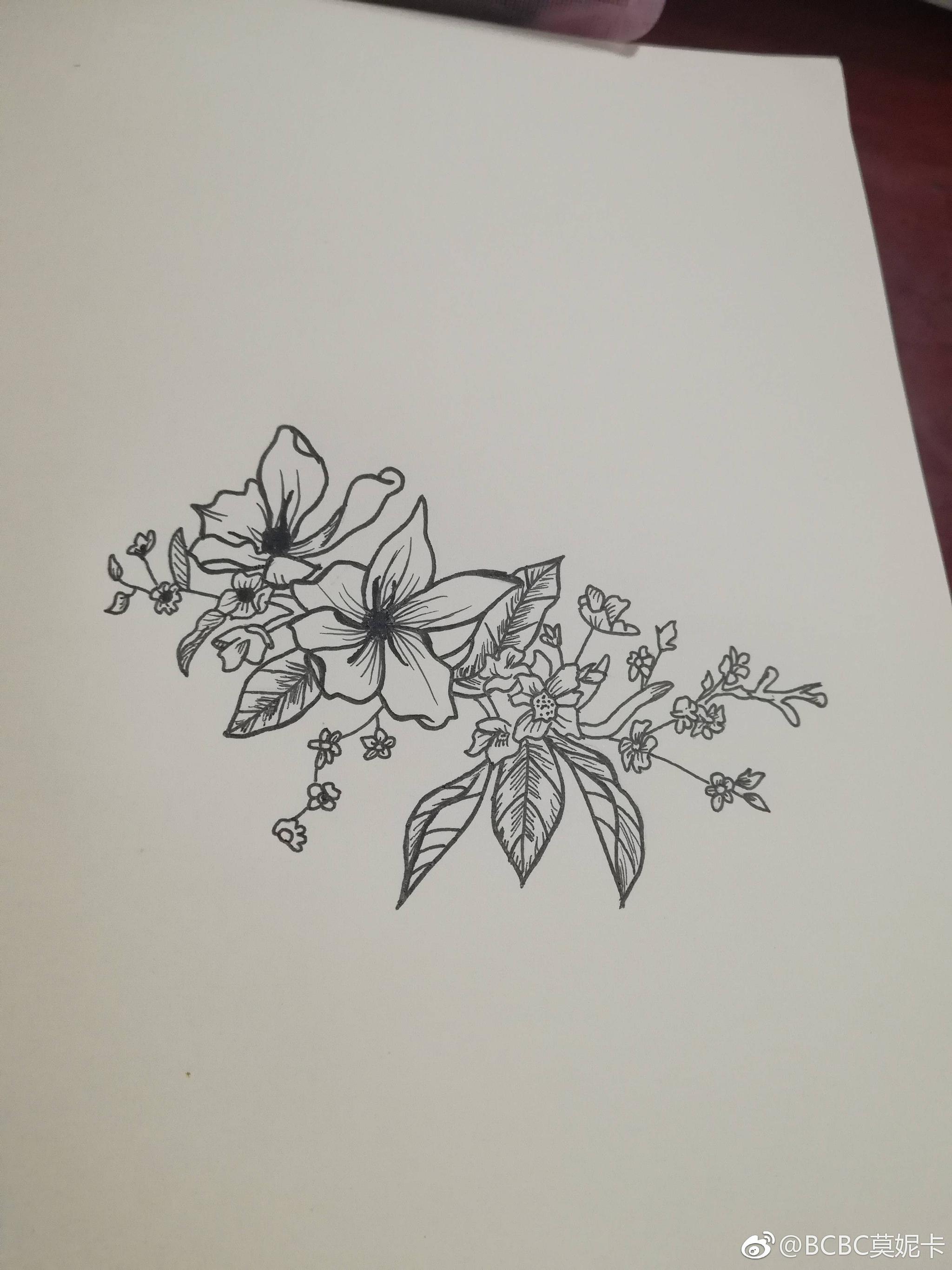 黑白花卉线稿 | cr.@bcbc莫妮卡