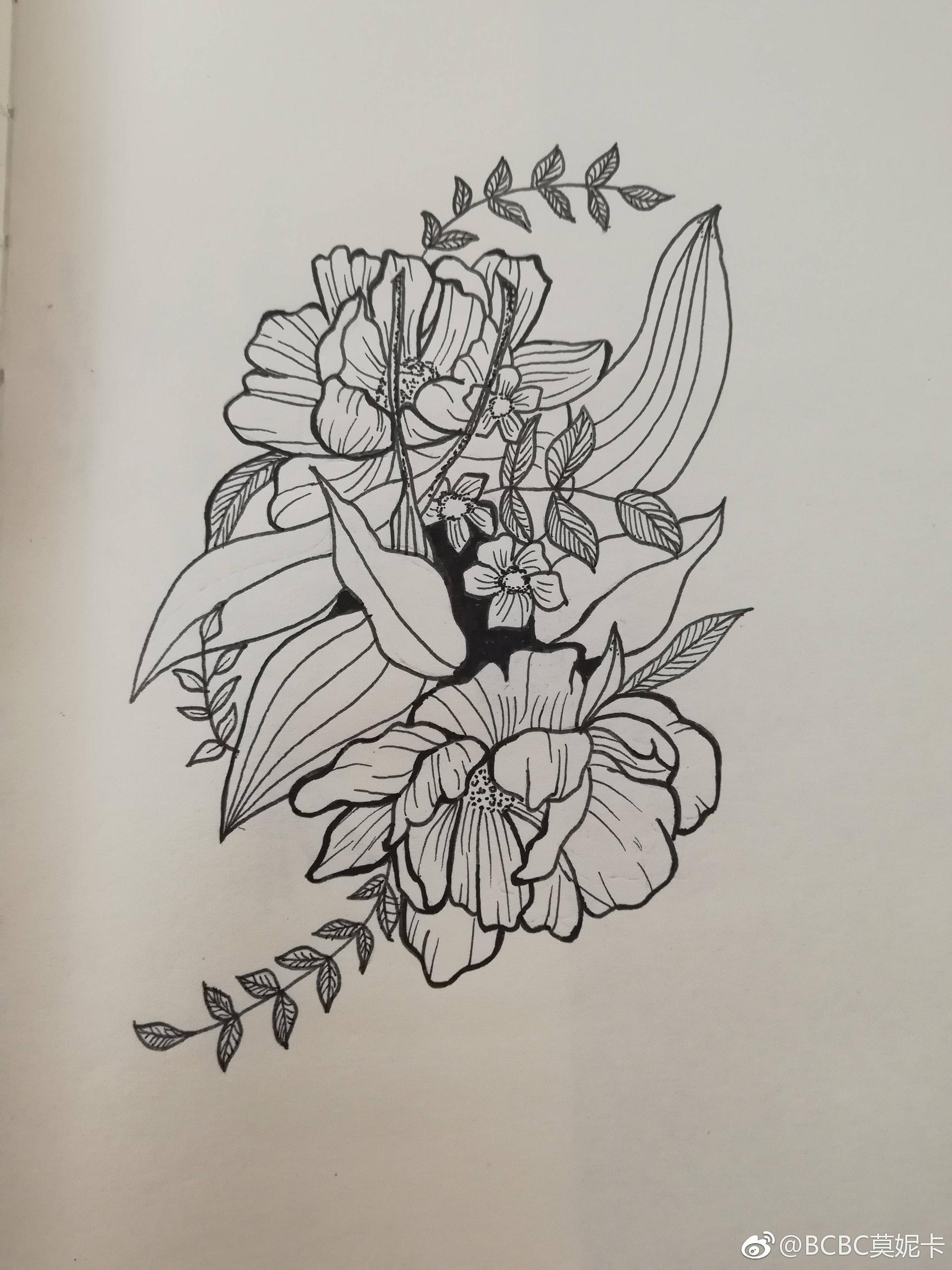 黑白花卉线稿 | cr.@bcbc莫妮卡