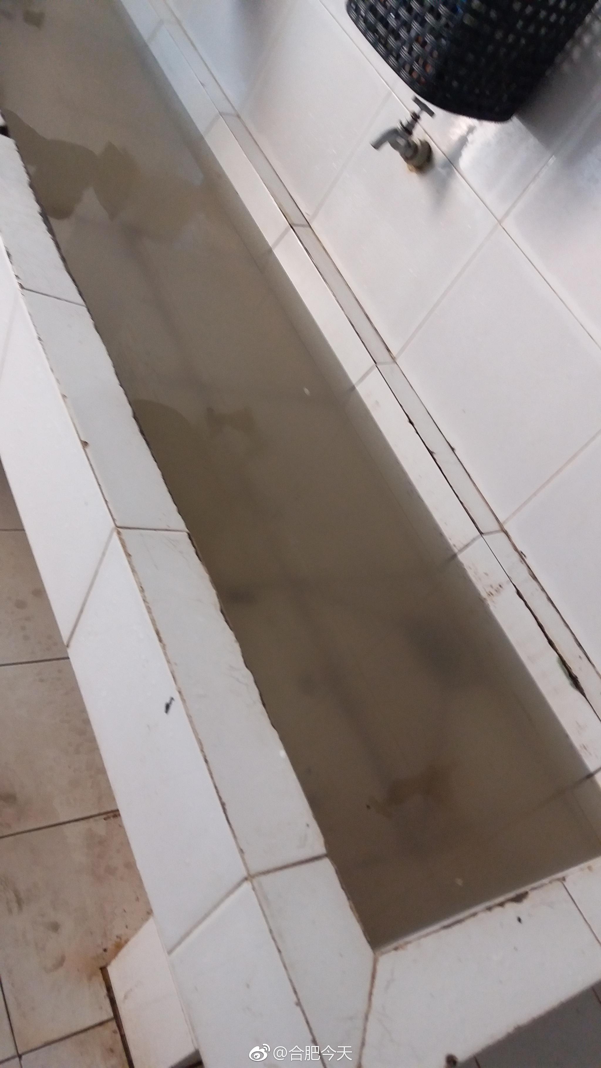 学生吐槽合肥信息技术职业技术学院男浴室积水严重