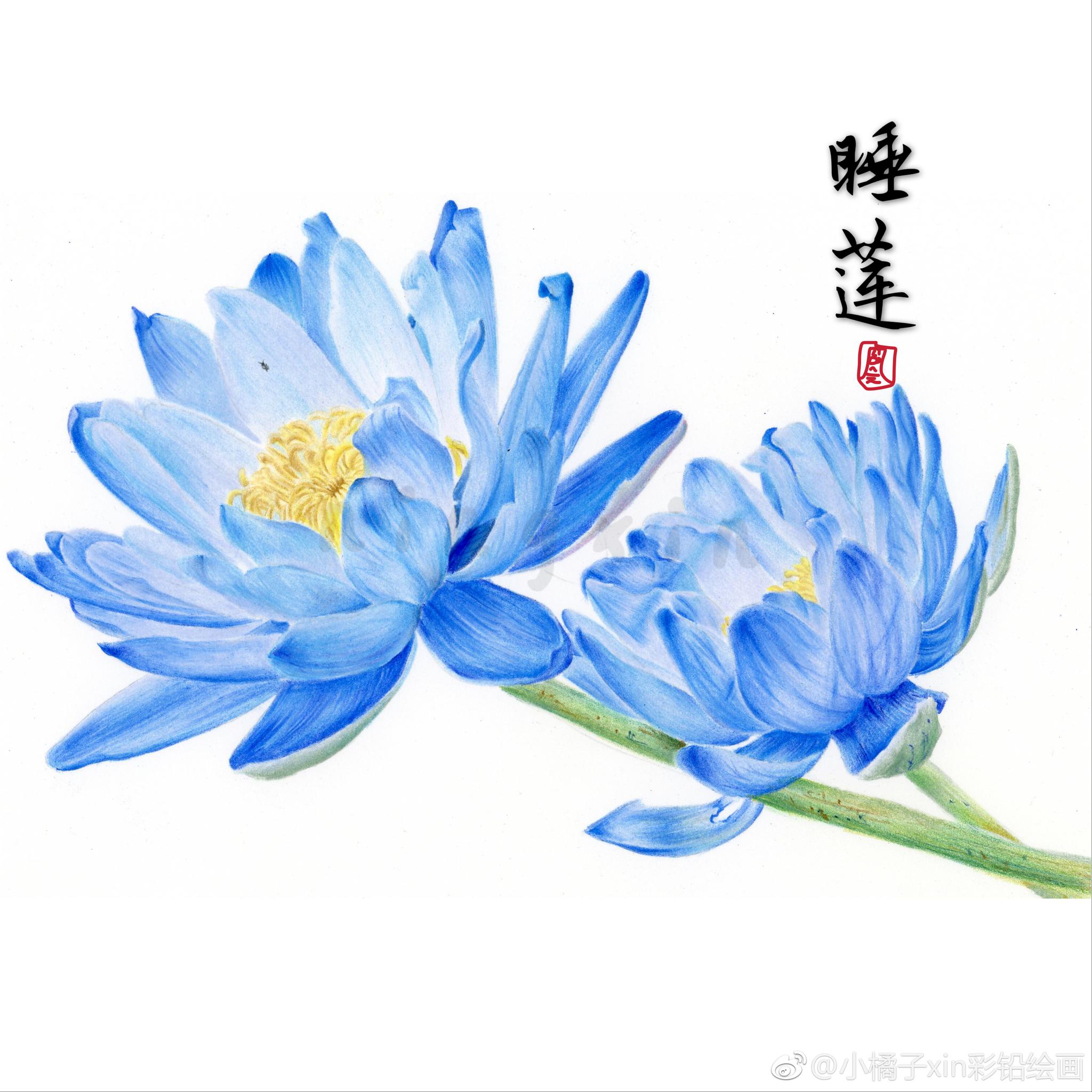 九宫格手绘时光集中国书画诗词院水彩画教程涂画图画cg插