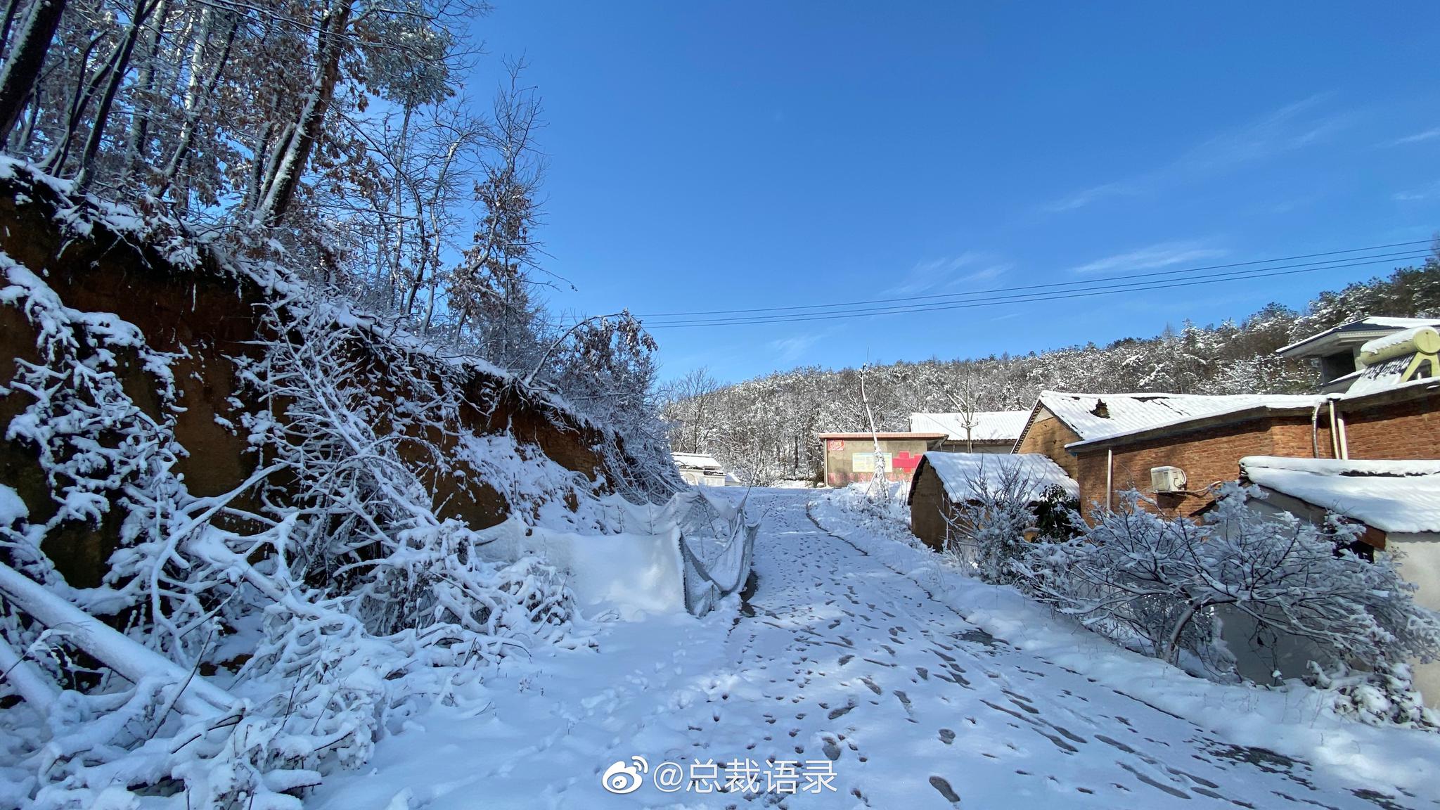 大雪后的村庄,一片银装素裹,这样的景象电视剧是看不到的|大雪|村庄