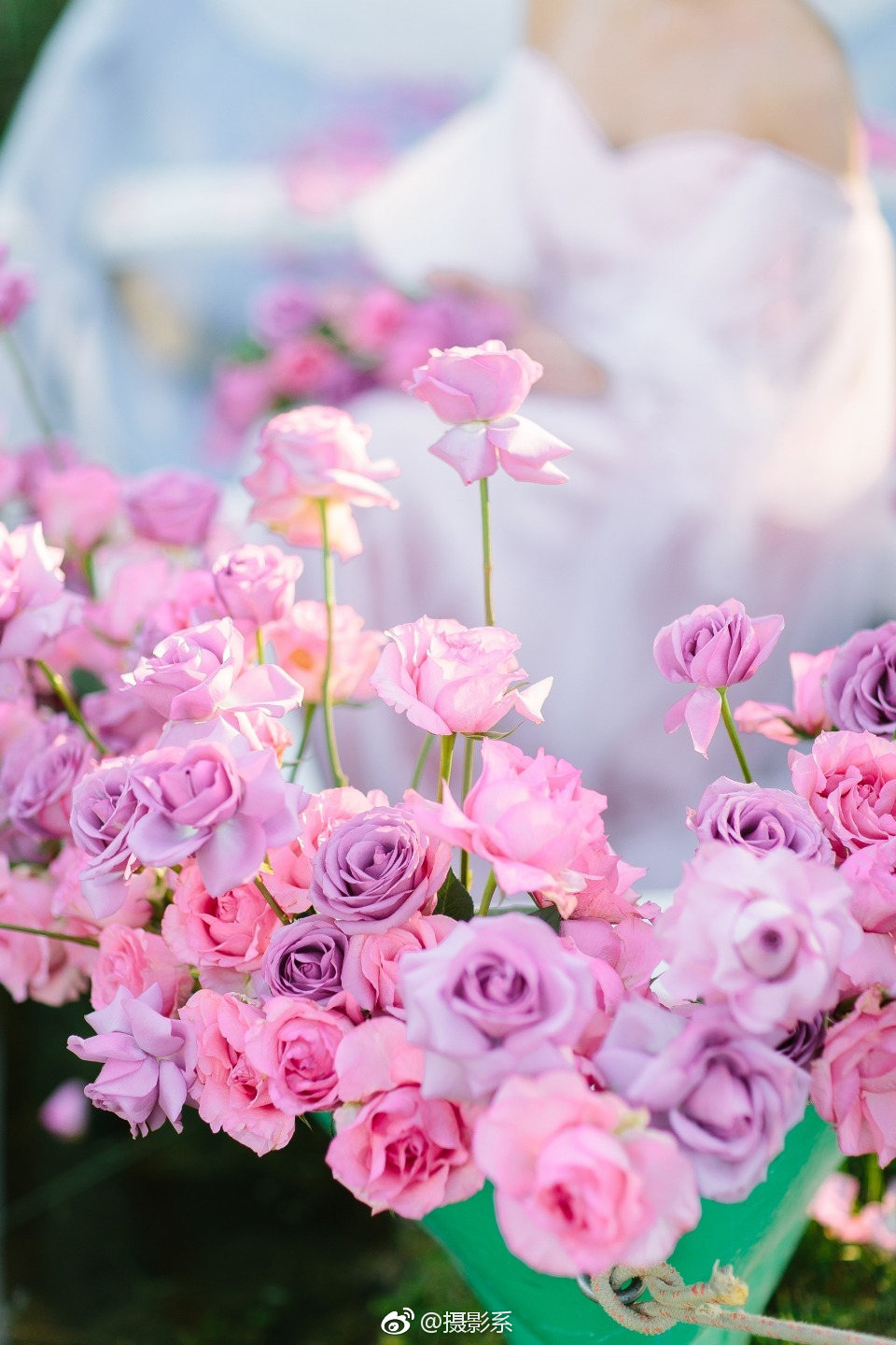 为你倾诉少女的温柔,这组照片像梦一样美