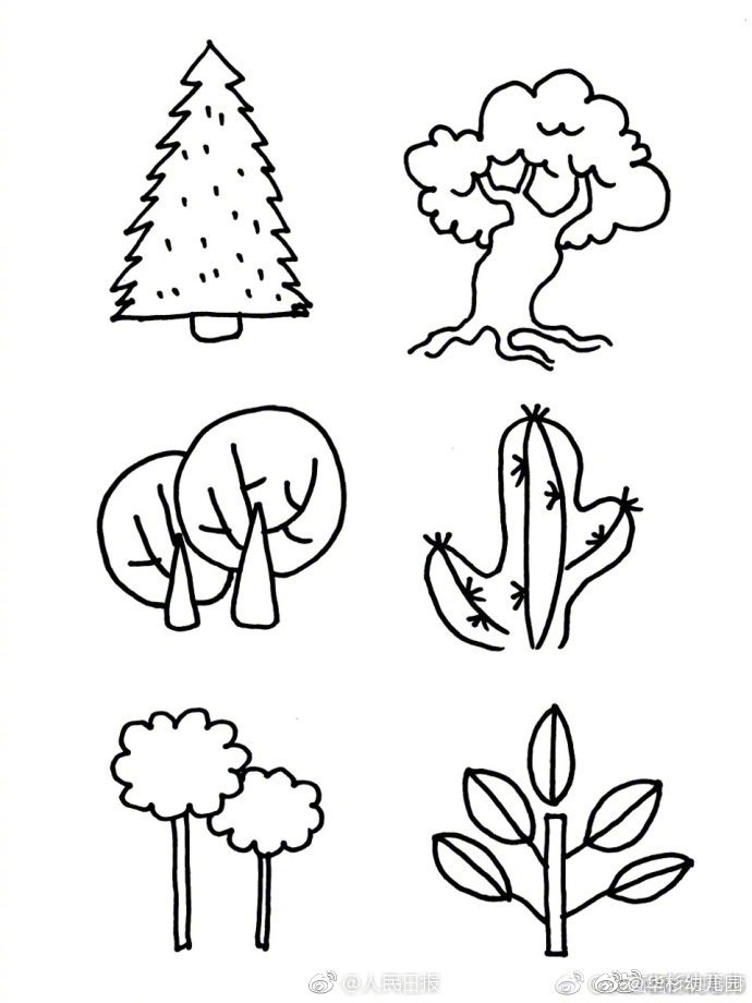 独家报道！龙岗 哪里有打飞机？一次讲透本地服务选择与注意事项