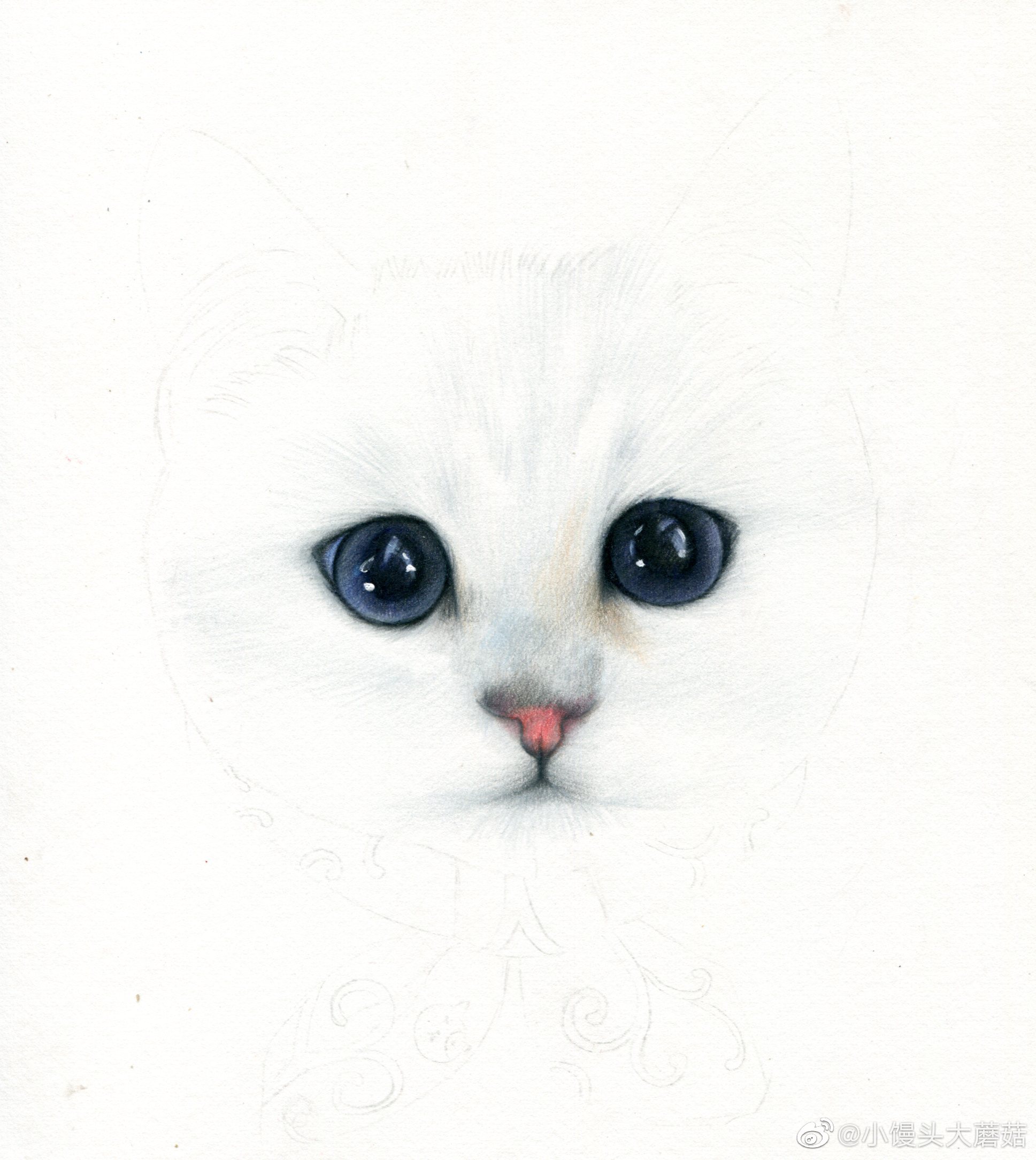 彩铅手绘小猫咪一只呀