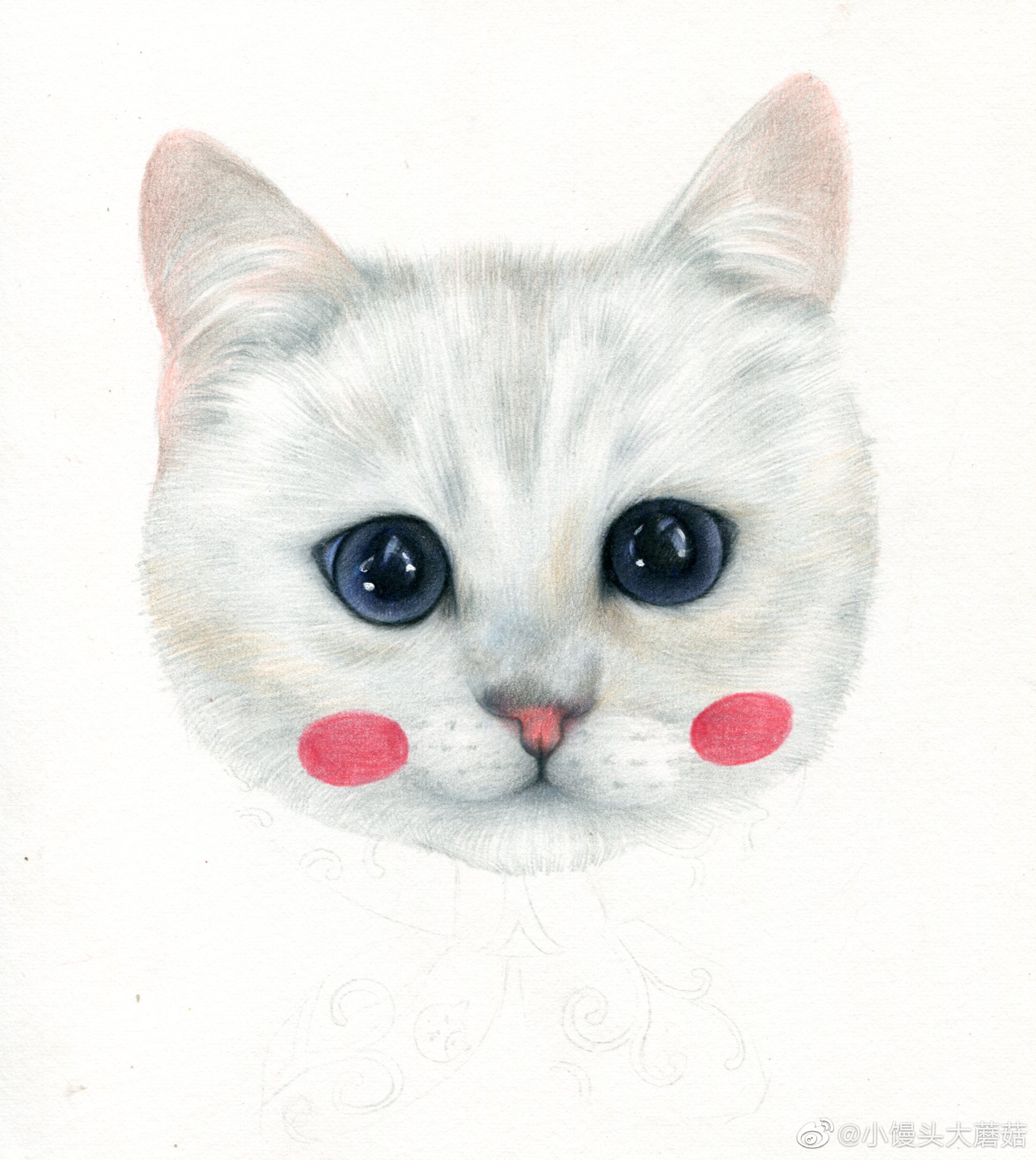 彩铅手绘小猫咪一只呀