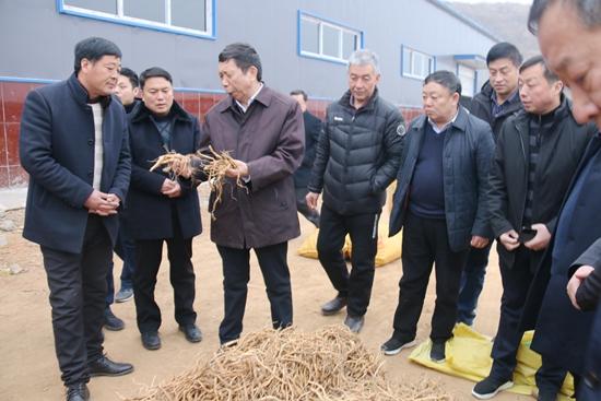 刘朝瑞深入南召县调研脱贫攻坚:强化产业支撑 拓宽增收路径
