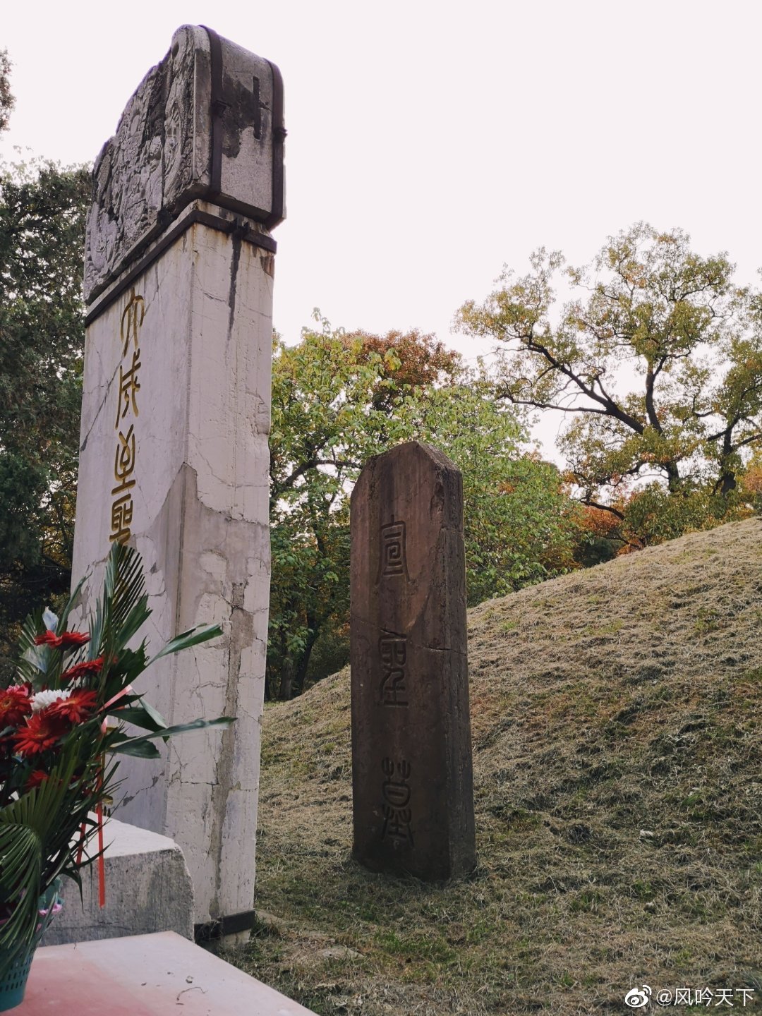 孔林,原称至圣林,位于山东曲阜城北|曲阜|家族墓地|孔林_新浪新闻