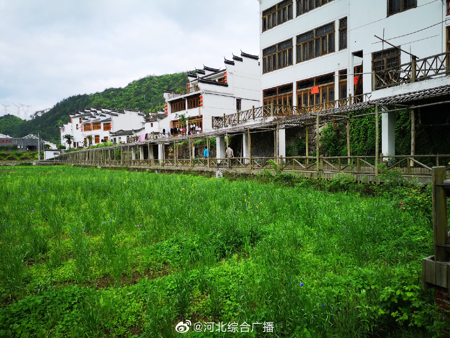 美丽乡村浙江行,今天上午继续走进浦江上河村. 诗画江南