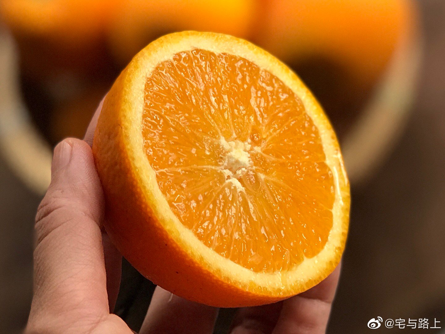 伦晚脐橙