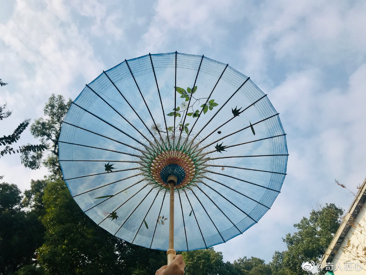分享图片纸伞以云华、古永等地出产的毛竹和当地的木料为伞柄、伞骨|伞骨|伞柄|古永_新浪新闻