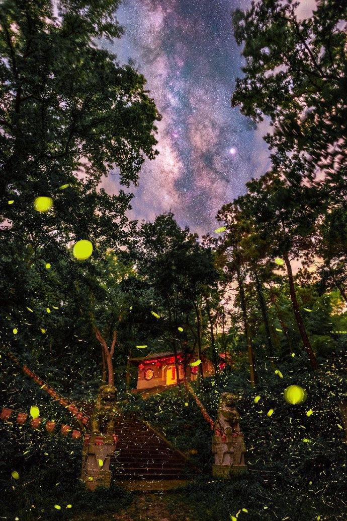 仲夏夜之梦,萤火虫已上线