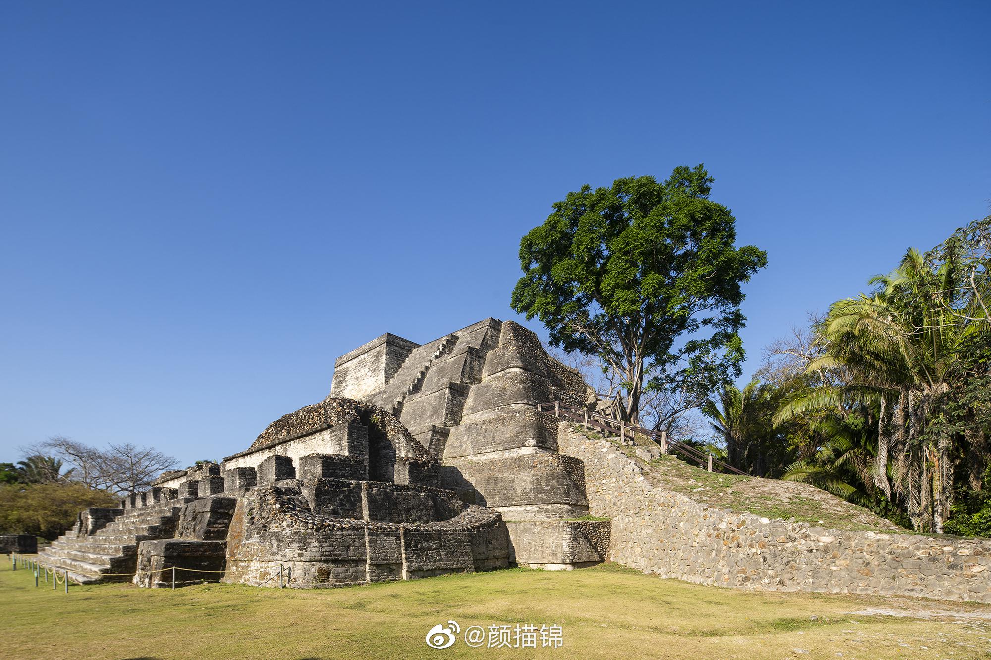 伯利兹阿顿哈(altun ha)玛雅遗址位于伯利兹城北方50公里