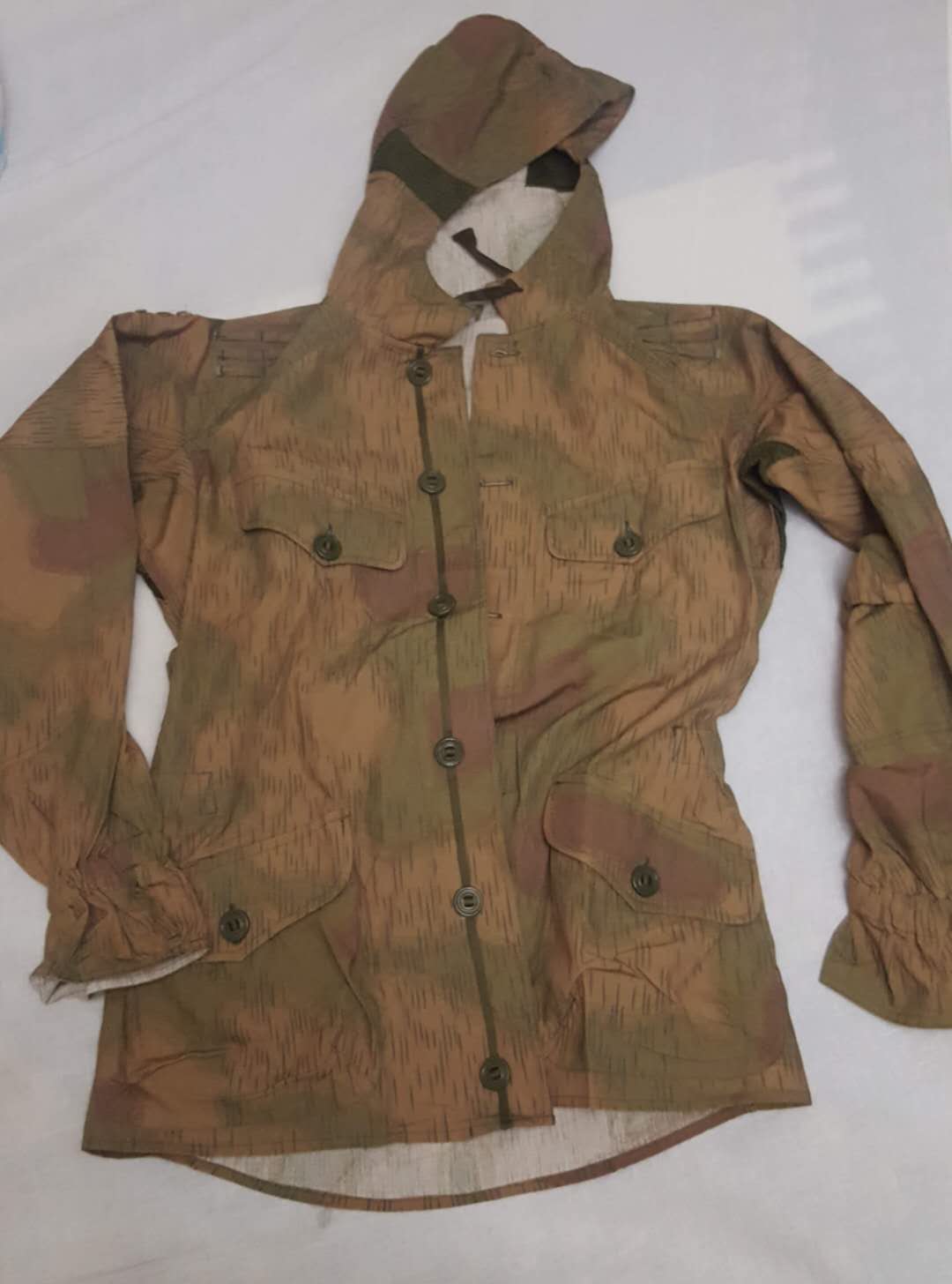 今天的xjb穿德味斯拉夫特警党卫军裂片迷彩了解一下