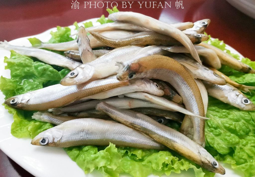 池沼公鱼,也是博斯腾湖的特色鱼内,属于一年生鱼,很少能活过两年,成鱼