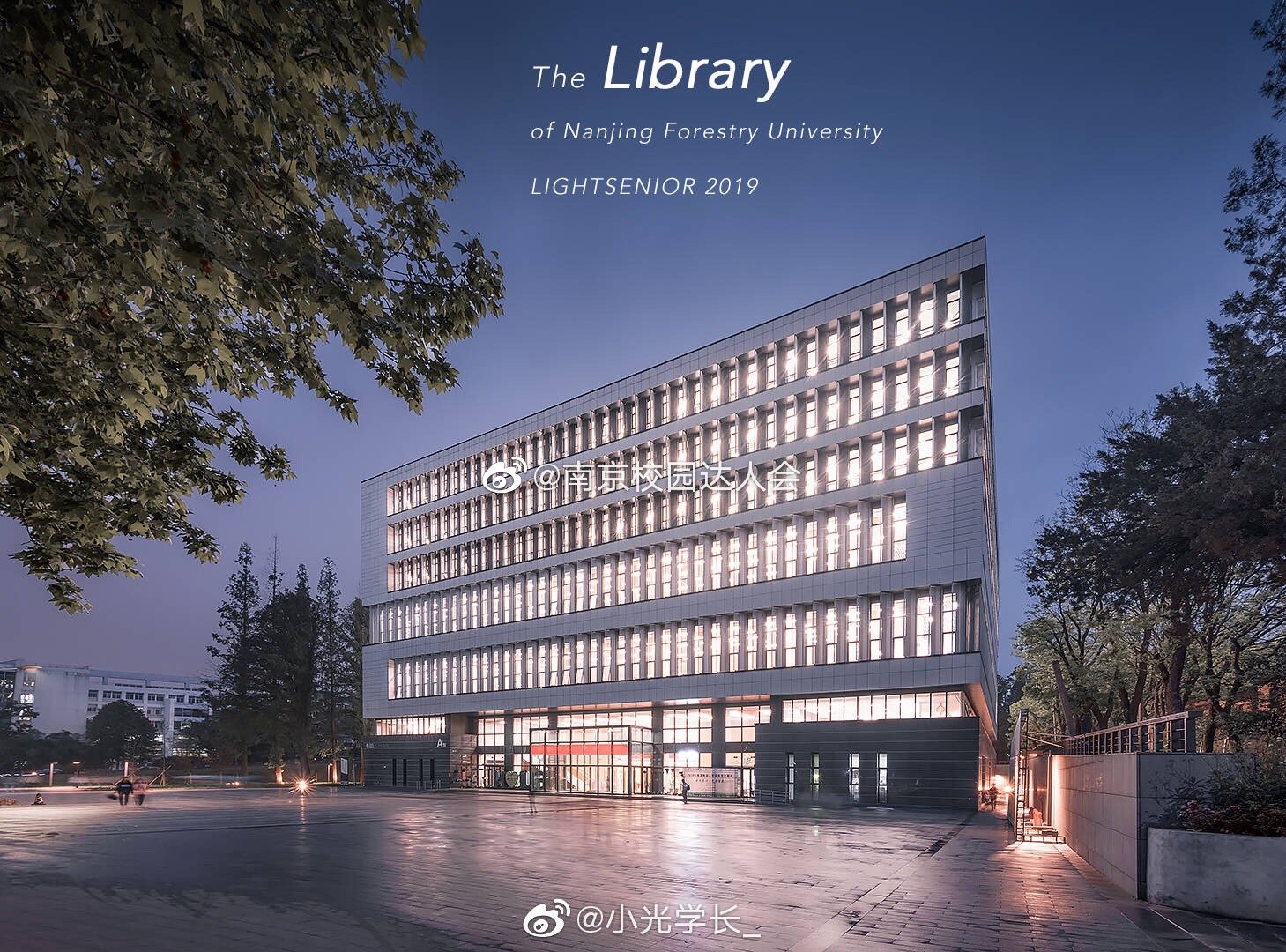 让我再看你一眼,在毕业之前|南京林业大学|图书馆|光学_新浪新闻
