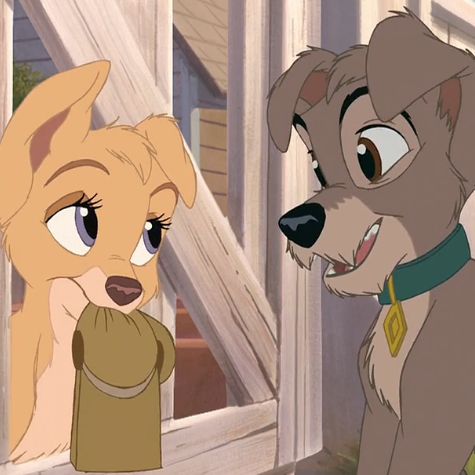 狗狗也要撒狗粮啦|迪士尼|狗狗|流浪汉_新浪新闻