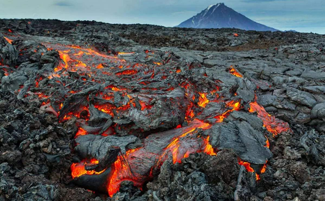 这种生物是最耐高温的生物,把岩浆当"洗澡水",还能百毒不侵