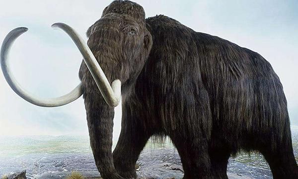 地球上7大史前动物,恐龙居榜首,猛犸象第五,你都认识吗?