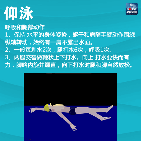 蛙泳、自由泳、仰泳、蝶泳，4种游泳姿势！动态图片+文字教程_新浪新闻