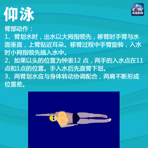 蛙泳、自由泳、仰泳、蝶泳，4种游泳姿势！动态图片+文字教程_新浪新闻