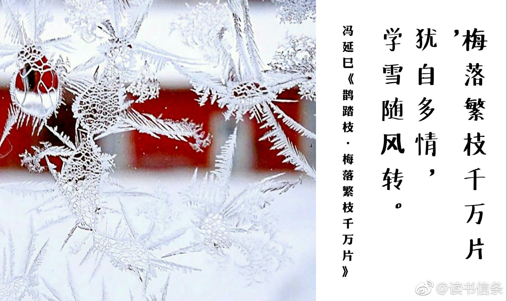 冬雪Ⅰ旋扑珠帘过粉墙轻于柳絮重于霜初雪已至描写雪的诗句