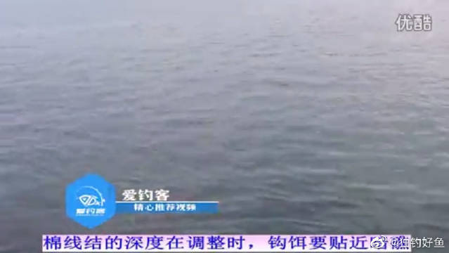 50 素晴らしい防波堤魚 すべての魚の画像 50 素晴らしい防波堤魚 すべての魚の画像