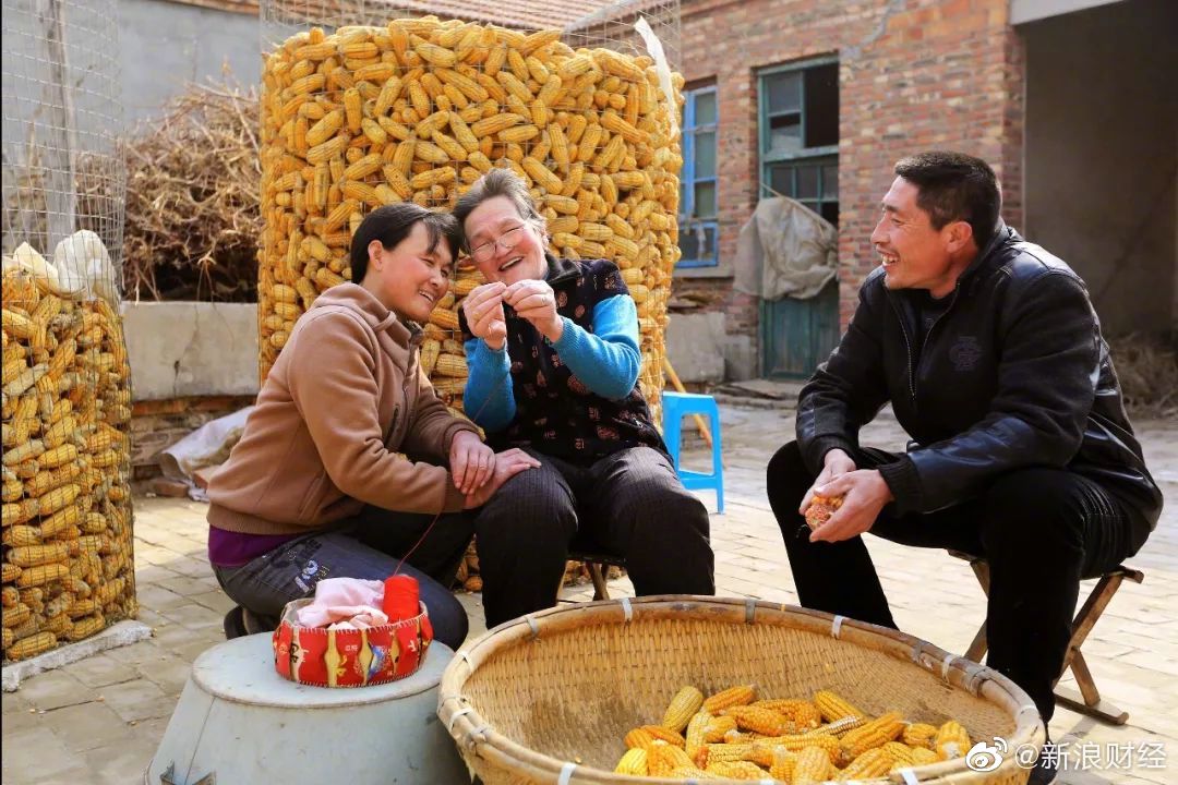 乡村农业上半年任务总结