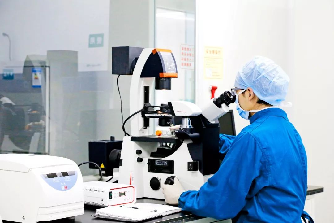 2019年脐带血重大科研成果盘点 再生医学用途潜力巨大